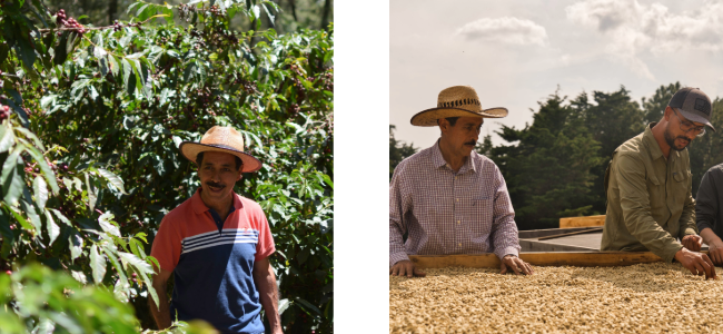 coe2025_ 03- 2026年2月18日 11.44.14-3.png