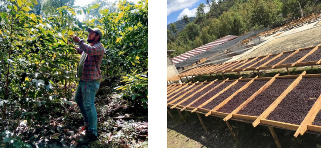 coe2025_ 03- 2026年2月18日 11.44.14-4.png