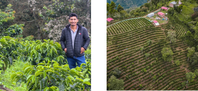 coe_peru.png